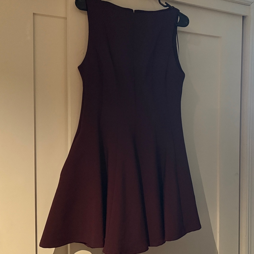 Zara Burgundy Mini Dress